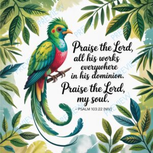 Rainforest Falls VBS 2026 Daily Memory Verse Cards – Bible Buddies & Scripture Set